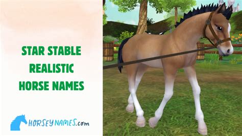 Realistic star stable horse names.  Express yourself with an additional luxury ...