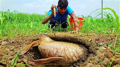 Really Excellent Search & Catching Big Fish By Hand Fishing