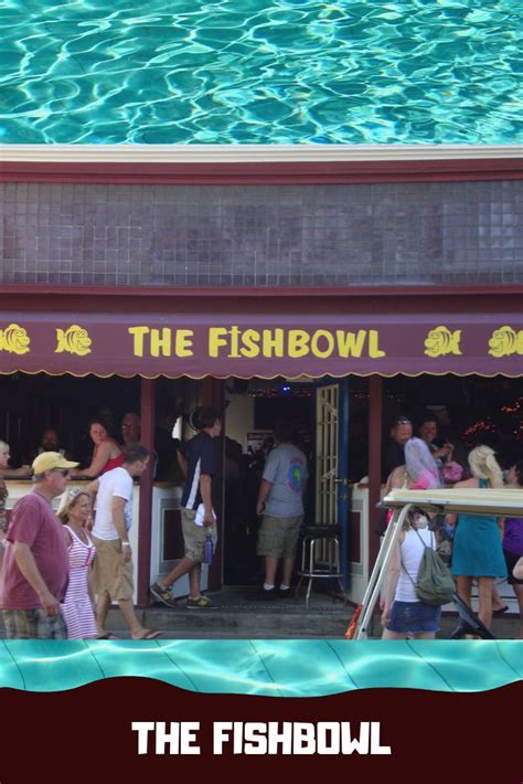 Really enjoy going to the Fish Bowl - The Fishbowl Restaurant