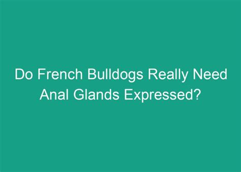 Really free french anal galleries. .  <a href=https://crm.santekhstore....