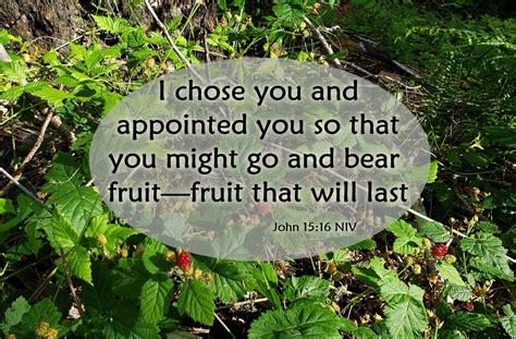 Reap the Rewards of Righteousness: Scriptures about Bearing Fruit