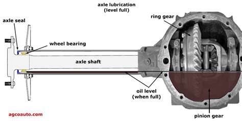 Rear axle bearing grease or gear lube??? - The Diesel Stop