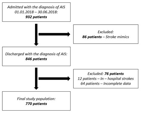 Reasons for Prehospital Delay in Acute Ischemic Stroke