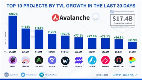 Recent Developments in the Avalanche Ecosystem