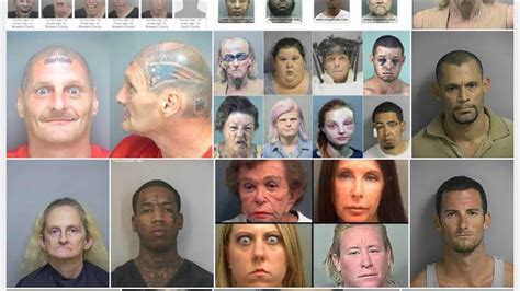 Recent arrests pinellas county. &rdquo; From TSG When officers arrived on the Oct 24, 2018 · 1 �...