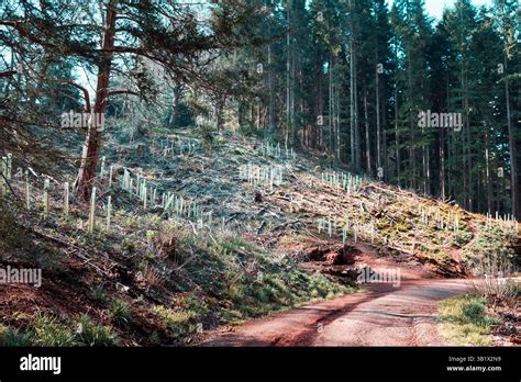 Recent efforts have been