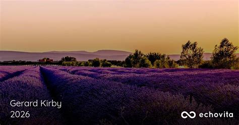 Recent obituaries marystown nl.  Obituaries In Marystown - Newfoundland...