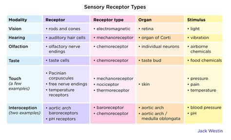 Receptor Enzymes - Biosignalling - MCAT Content - Jack Westin