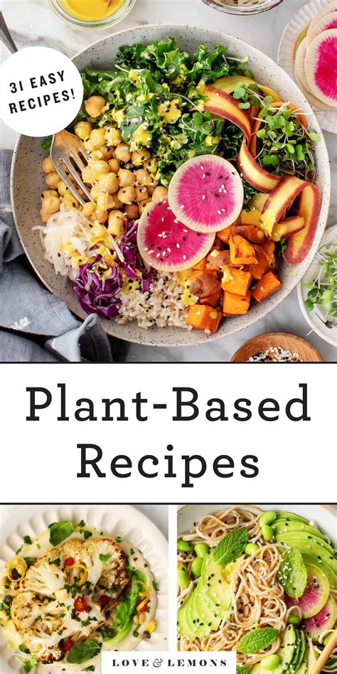 Recipes for plant based diet. While plants do contain proteins, it's not a one-to-one comparison with animal protein. Plant-based eaters also need to consider amino acids and should eat a variety of vegan protein sources. 