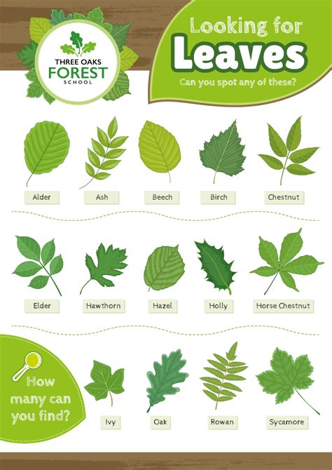 Recognize leaf. Things To Know About Recognize leaf. 