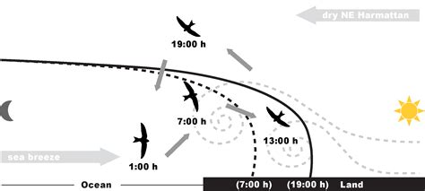 Recognizing Convergence Zones in Flight
