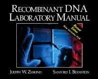 Recombinant Dna Technology A Laboratory Manual 1st Published