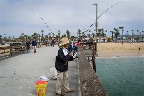 Record California Pier Fish Pier Fishing in California