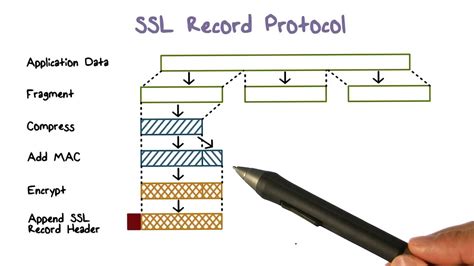 Record protocol in ssl. .  <a href=https://hunters-hub.com/vgwtm/index.ph...