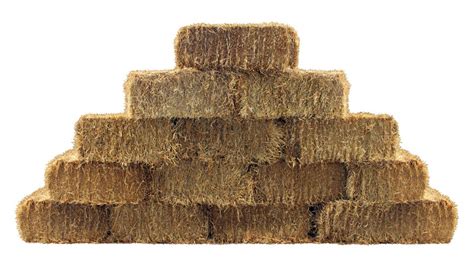 Rectangular vs. Barrel: The Differences in Hay Bales and Why