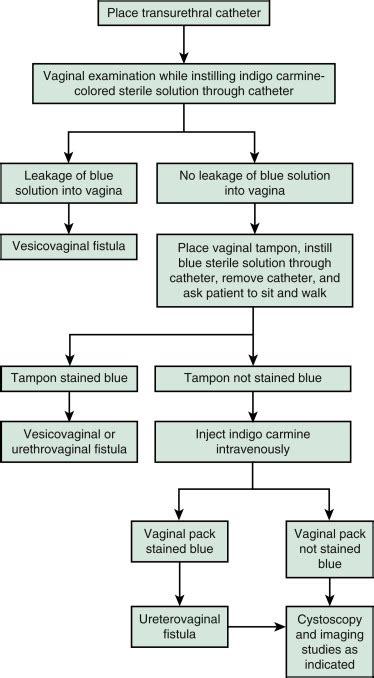 Rectovaginal fistula and perineal breakdown Obgyn Key