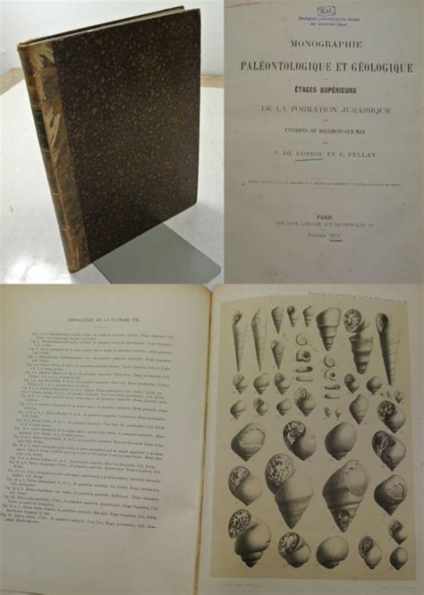 Recueil de monographies stratigraphiques sur le système crétacique du portugal. - Stanley garage door opener manual st 400.