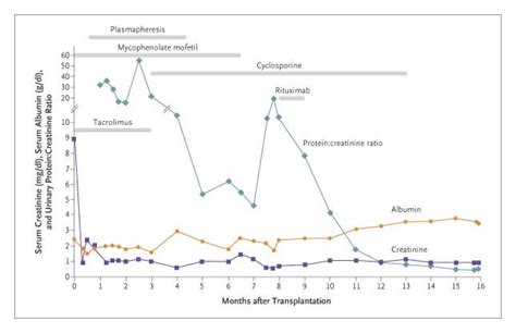 Recurrent Heavy Proteinuria and Focal Segmental ... - Springer