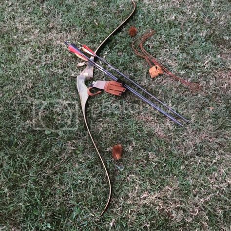 Recurve Bow? - AR15.COM