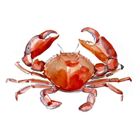 Red Crab Art - Etsy