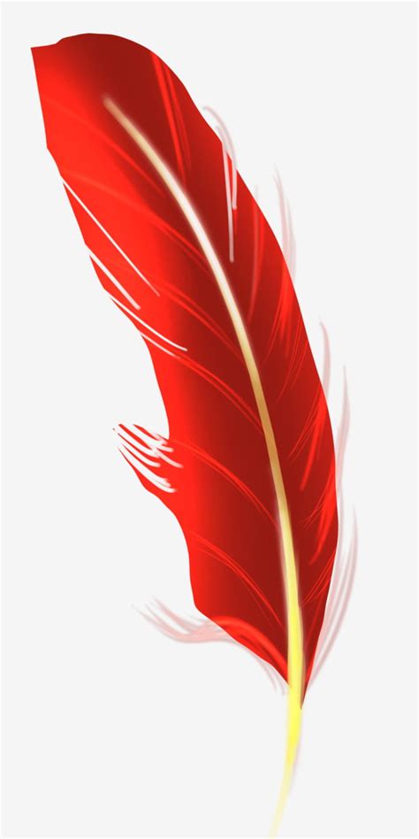 Red Feather PNG HD Quality images free download.