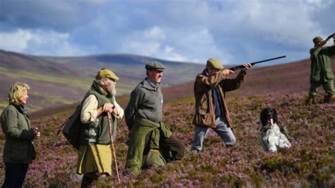 Red Grouse Hunting in Scotland Montefeltro Hunting Trips