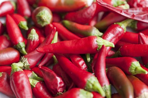 Red Hot Chile Peppers Chili Food And Drink Women