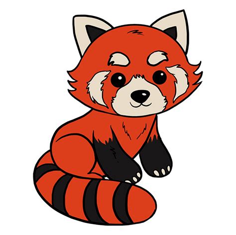 Red Panda Cartoon Drawing
