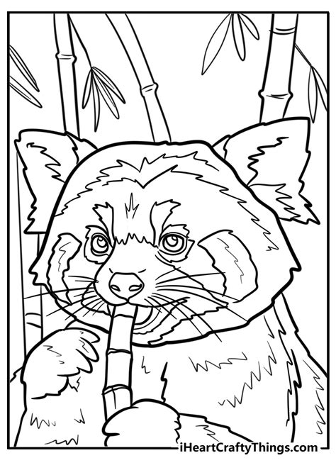 Red Panda Coloring Shee