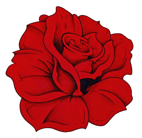 Red Rose Drawing With Color