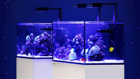 Red Sea REEFER G2 XL 200 Black Aquarium System - The Tech Den