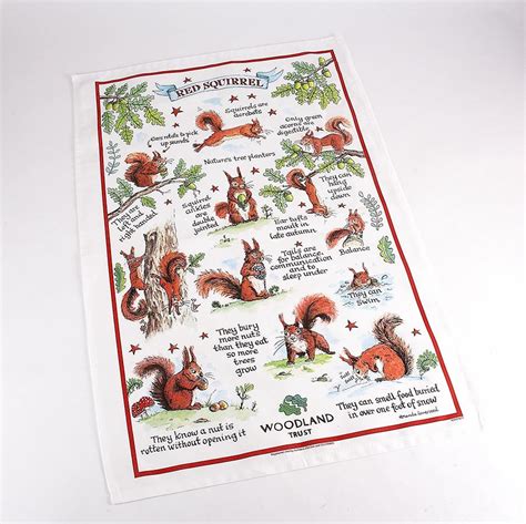 Red Squirrel Tea Towels: Woodland Animals Woodland …