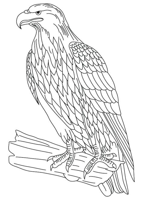 Bugatti Veyron Coloring Page
