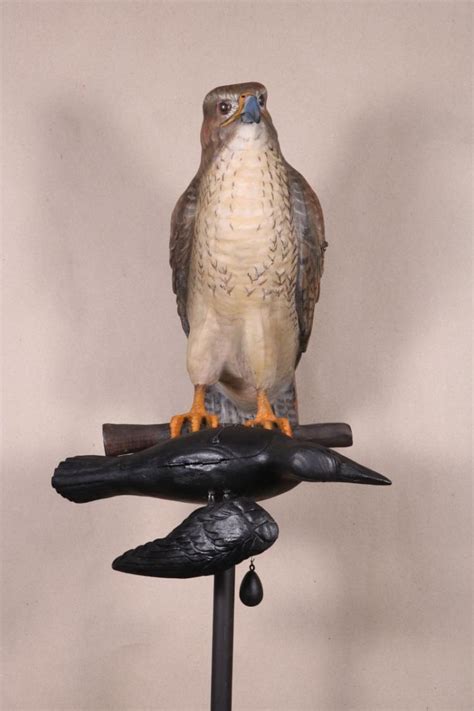 Red Tailed Hawk MRB Decoys