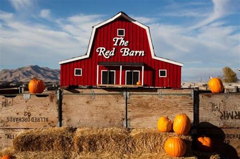 Red barn utah. I would like to personally thank The Barn of Wall Brother's for being born. What a delight your little shop is! Here you can choose from a plethora of local goodies--from BYU creamery, to Rowley's Red Barn, Beehive Cheese and other personal-made goodies. They've got jams, jerky, fudge, dried fruit, cinnamon rolls, fresh made caramel apples (they make themselves), salt water taffy, freeze d 