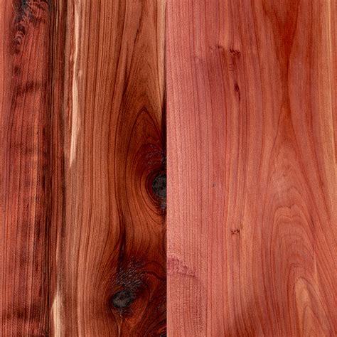 Red cedar wood