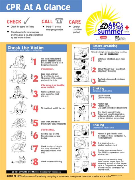 Red cross cpr study guide key. - The best tracks on guam a guide to the hiking trails.