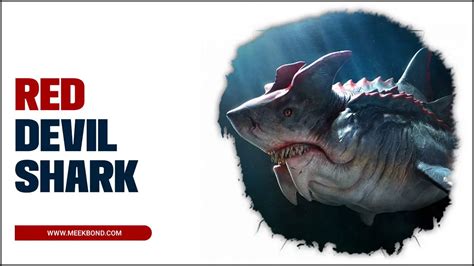 Red devil shark staten island. Things To Know About Red devil shark staten island. 