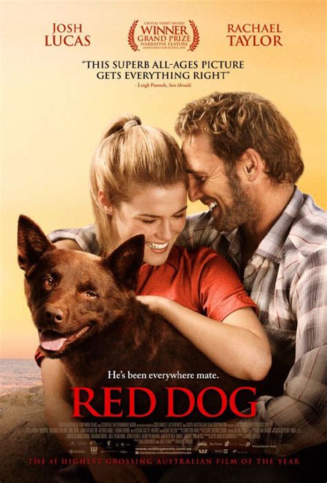 Red dog the movie. Jan 16, 2012 · Red Dog is an Australian feature film released in mid 2011, and according to an article in Wikipedia is about a stray dog who adopts a master, who then dies. It may never be released in the US, but it was very successful “Down Under”, being nominated for nine awards in the 2011 “Inside Film Awards”, Australia’s equivalent of Hollywood’s Academy Awards (Oscars). 
