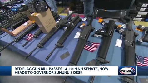 Red flag, gun-buying age bills headed to governor