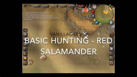Red salamander osrs. The Red chinchompa hunting ground is a small dungeon located south of Feldip Hills, just south of the Hunting expert, who sells the Hunter cape. The cave is guarded by another Hunting expert and will only give you entry after completing the Hard Western Provinces Diary . The area contains 15 carnivorous chinchompas which is beneficial to those ... 
