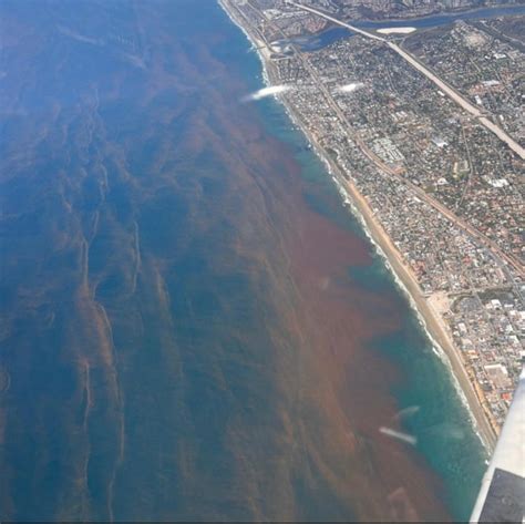 Red tide, bioluminescent waves roll into parts of San Diego