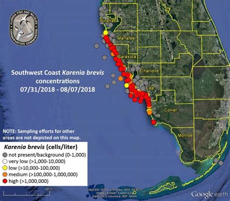 The paper recently published in the peer-review journal PLOS One, shows that red tide blooms most frequently occur from Sanibel Island to Tampa Bay between September and January, typically forming in August and continue through the winter, with October and November being the months most frequently impacted. “Red tide blooms …. 