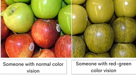 Red-Green Color Blindness: Causes, Tests, and Treatment