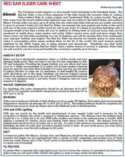 RedEared Slider Care Sheet