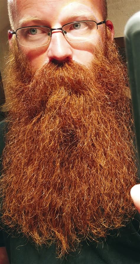 Redbeard. A beard is the hair that grows on the jaw, chin, upper lip, lower lip, cheeks, and neck of humans and some non-human animals. In humans, usually pubescent or adult males are able to start growing beards, on average at the age of 21. [1] Throughout the course of history, societal attitudes toward male beards have varied widely … 