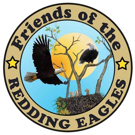 Redding eagles facebook. Intruder Alert! At 12:25pm what looks like a sub adult female landed in the nest! Laurie was all over it & got some great close ups! Guardian arrived in the nest at 12:34:39 so rewind the DVR to... 