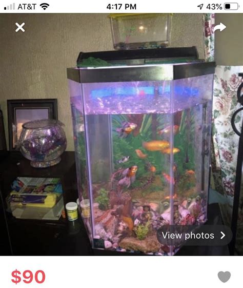 Local golfing range. Looks 50-60 gallons. The biggest pleco I’ve personally ever seen. 1 / 3. 448. 26. r/shittyaquariums. Join. • 22 days ago.. 