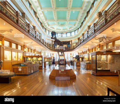 Redpath Museum - McGill University