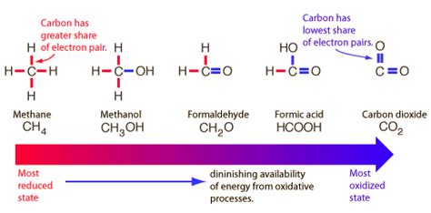 Photosynthesis - Carbon Fixation, Reduction, Light: The assimilation of carbon into organic compounds is the result of a complex series of enzymatically regulated chemical reactions—the dark reactions. This term is something of a misnomer, for these reactions can take place in either light or darkness. Furthermore, some of the enzymes involved in the …. 